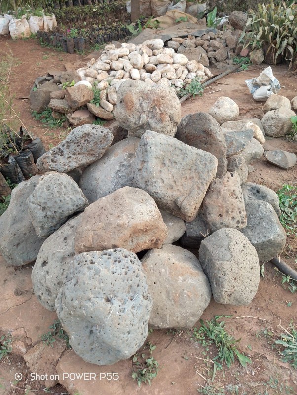 River Stones for Landscaping